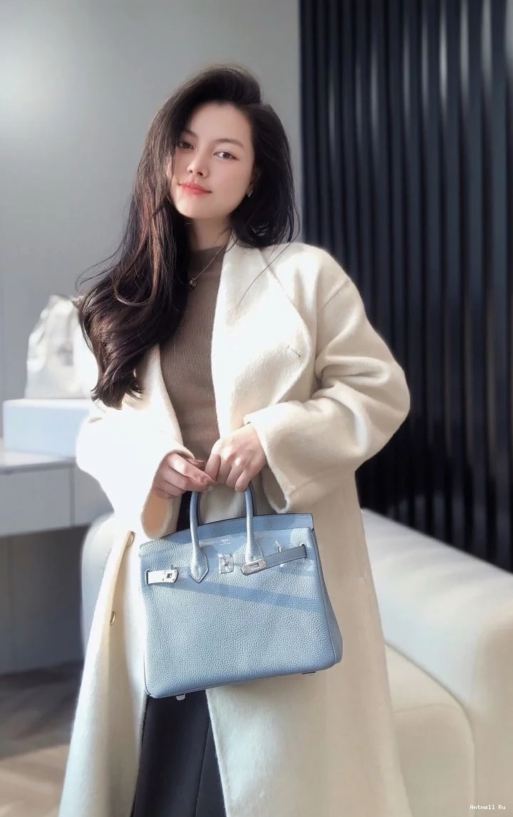 Birkin Bags Hermes Popular 48980 0702